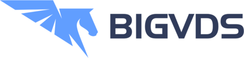 BigVDS